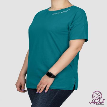 0b383cf488b830f503166c495769d4b4 عرضه بهترین تیشرت لانگ ساده زنانه