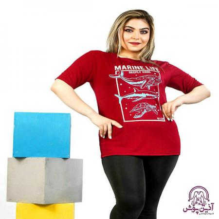 شرکت پخش تیشرت زنانه چاپی